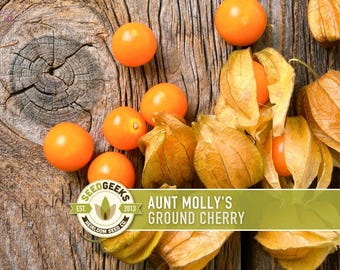 Aunt Molly's Ground Cherry Seeds | 30+ Seeds, Heirloom Fruit for Salsa, Jam, Physalis pruinosa