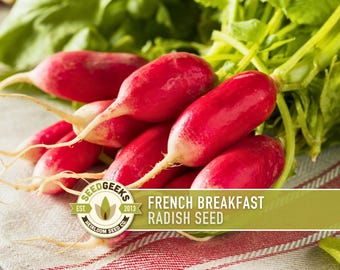 French Breakfast Radish Heirloom Seeds - Open Pollinated, Container Garden, Non-GMO