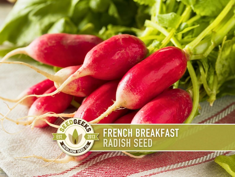a bunch of fresh radishes with their roots visible, arranged on a cloth. The radishes appear to be red and have a vibrant color. The image also includes text that reads "French Breakfast Radish Seed" and "SEEDGEEKS EST. 2013 HERROMOM SEEDS CO."