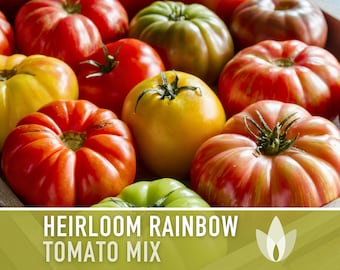 Heirloom Rainbow Blend Tomato Seeds - Heirloom Tomato Mix, Indeterminate, Mixed Tomatoes, Open Pollinated, Non-GMO