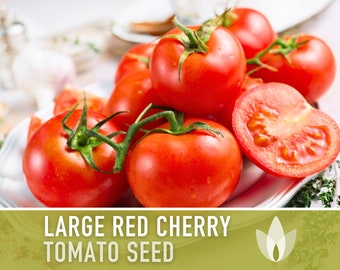 Large Red Cherry Tomato Heirloom Seeds