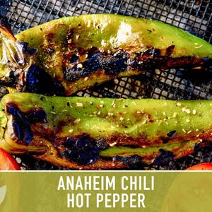 Anaheim Chili Seeds | 25+ Seeds, Heirloom, Mild Flavor, Versatile Use | Capsicum annuum image 10