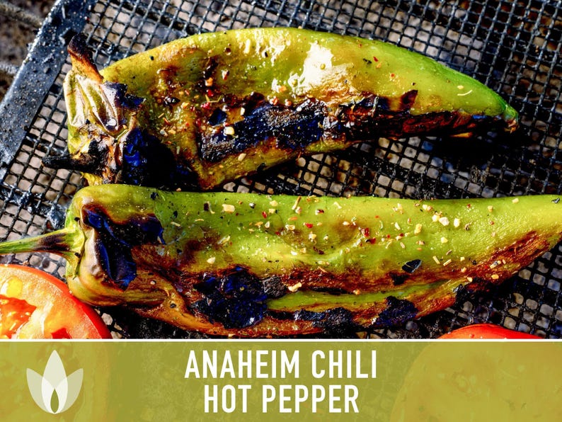 Anaheim Chili Seeds | 25+ Seeds, Heirloom, Mild Flavor, Versatile Use | Capsicum annuum image 10