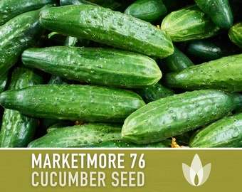 Marketmore 76 Cucumber Heirloom Seeds