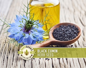 Black Cumin Herb Seeds – Heirloom Nigella Sativa, Culinary & Medicinal