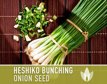 Heshiko Bunching Onion Seeds - Heirloom Seeds, Japanese Bunching Onion, Asian Green Onion, Alluim Fistulosum, Open Pollinated, Non-GMO