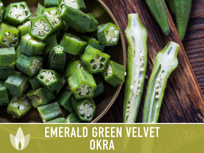 Emerald Green Velvet Okra Heirloom Seeds Nongmo Open Etsy