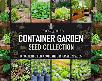 Container Garden Seed Collection – 10 Heirloom Varieties, Small Space Gardening