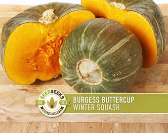 Burgess Buttercup Squash Seeds – Heirloom, Non-GMO