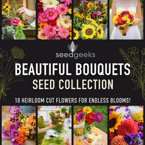 Beautiful Bouquets - Heirloom Flower Seed Collection with 10 Individual Seed Packets of Open Pollinated, Non-GMO Seeds