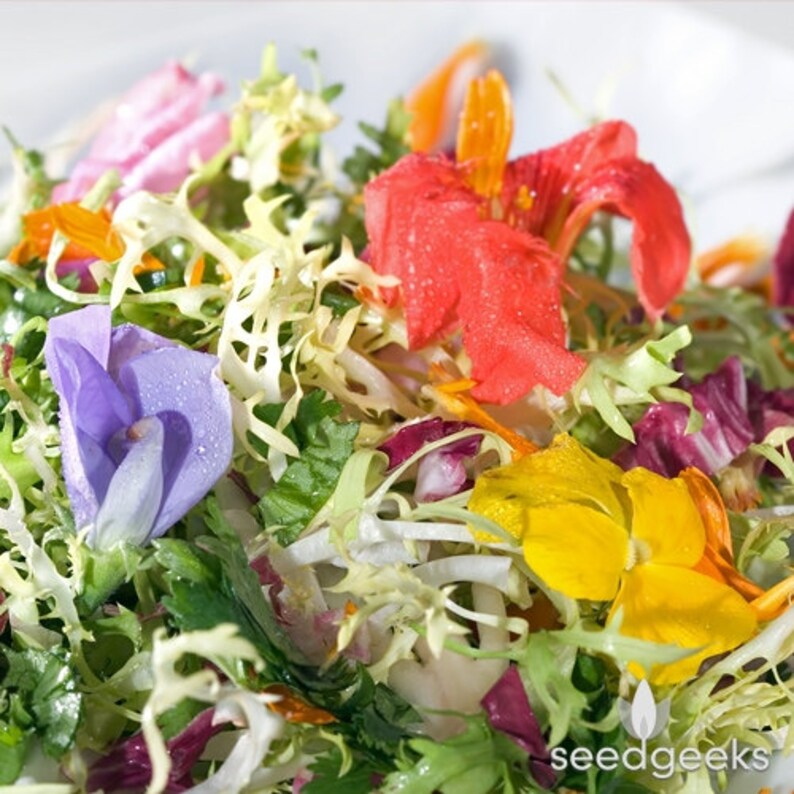 Edible Flower Heirloom Seed Mix Seed Packets Flower Seeds Etsy