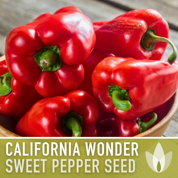 California Wonder Sweet Pepper Heirloom Seeds - Bell Pepper, Red Pepper, Open Pollinated, Non-GMO