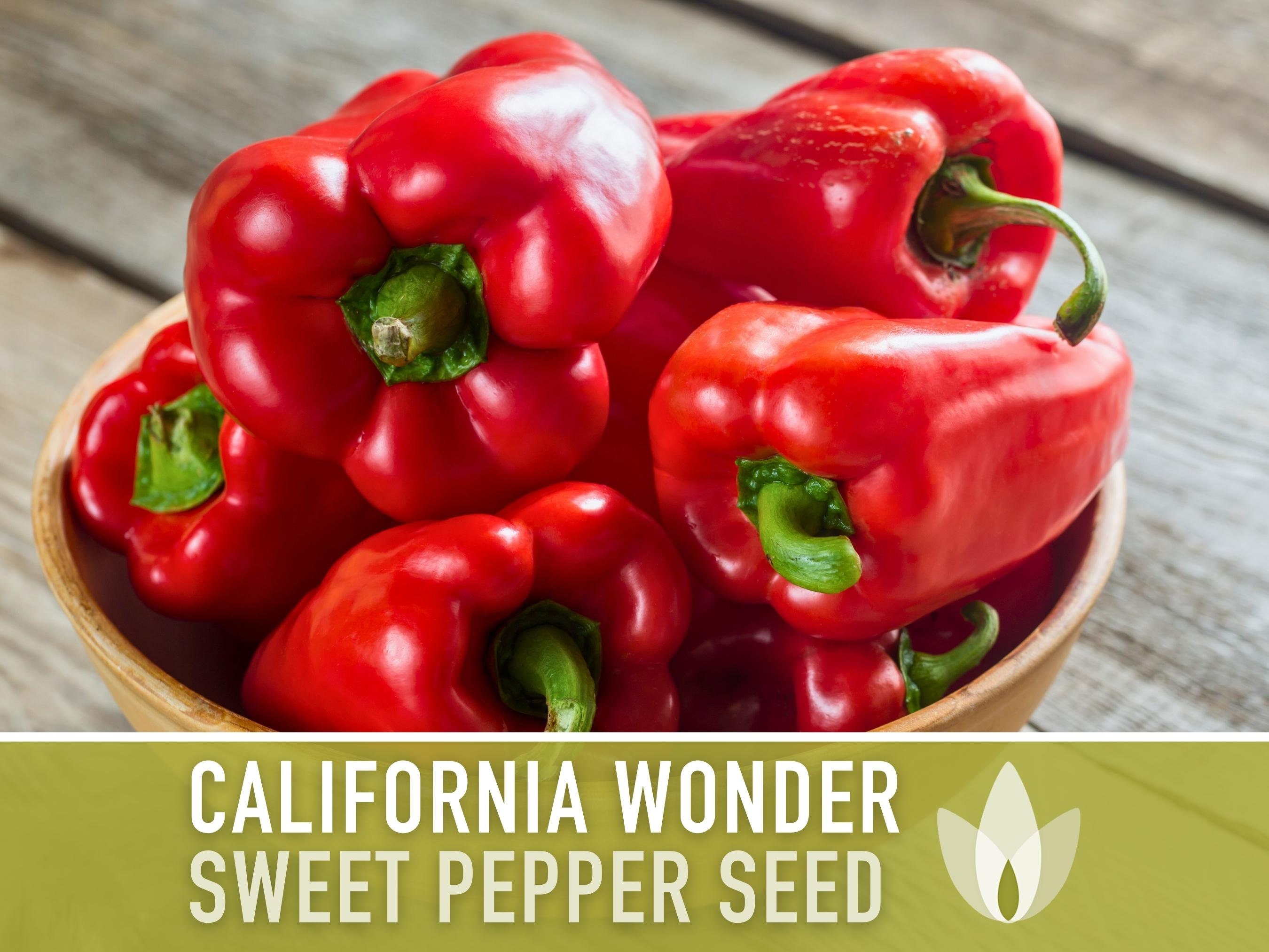 California Wonder Red Bell Pepper Seeds