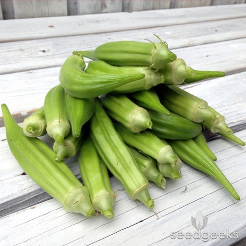 Clemson Spineless Okra Heirloom Seeds Etsy