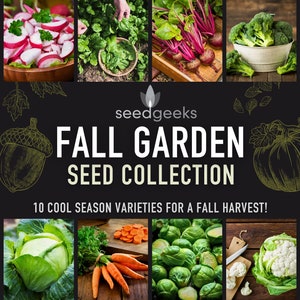 Fall Garden Seed Collection - 10 Hand-Selected Heirloom Seed Packets for a Bountiful Fall Harvest, Non-GMO, Open Pollinated, Untreated