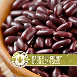 May include: Close-up of dark red kidney bush bean seeds in a wooden bowl. The seeds are a deep burgundy color with a smooth texture. The image includes a logo that reads "SEED GEEKS" and "DARK RED KIDNEY BUSH BEAN SEED".