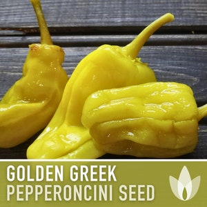 Golden Greek Pepperoncini Pepper Heirloom Seeds - Pickled Pepper, Greek Salads, Tangy Pepper, Open Pollinated, Non-GMO