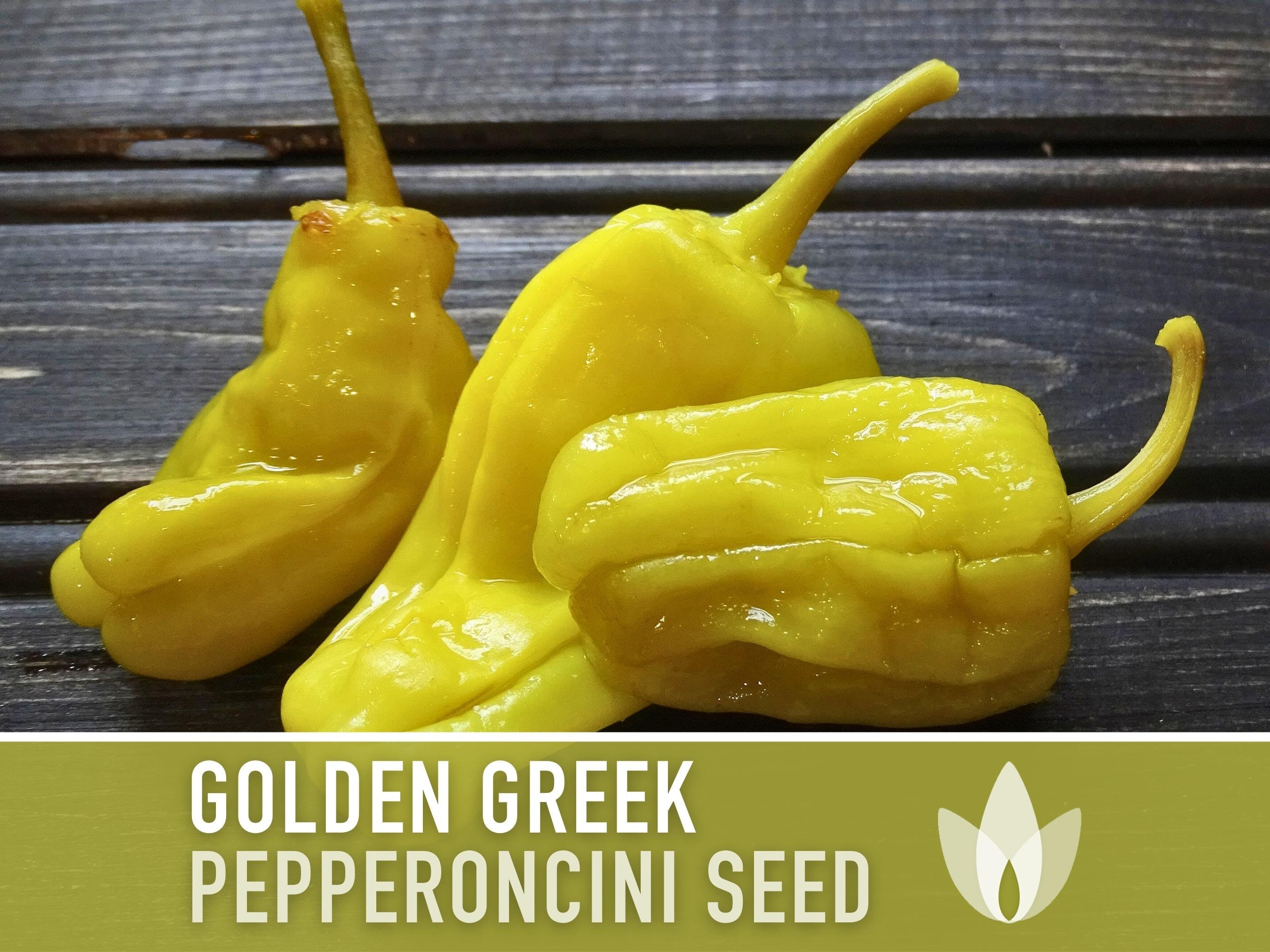 Golden Greek Pepperoncini Pepper Heirloom Seeds - Pickled Pepper, Greek Salads, Tangy Pepper, Open Pollinated, Non-GMO