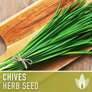 Chives Heirloom Herb Seeds image 1