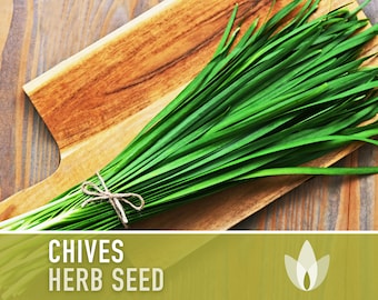 Chives Heirloom Herb Seeds