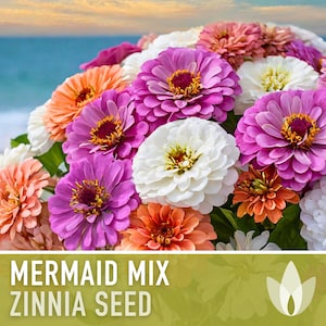 Zinnia, Mermaid Mix Flower Seeds - Heirloom Seeds, Tropical Mix, Pollinator Friendly, Cut Flowers, Wedding Flowers, Non-GMO