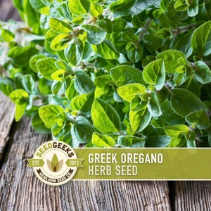 May include: Close-up of fresh green Greek oregano herb leaves. The image features a vibrant cluster of oregano against a rustic wooden background. The text on the image reads "Greek Oregano Herb Seed" and includes a logo for SeedGeeks.