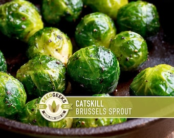Catskill Brussels Sprout Seeds - Heirloom, Open Pollinated, Non-GMO