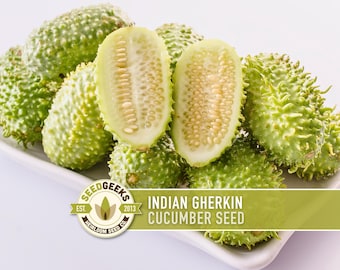 West Indian Gherkin Seeds – Cucamelon, Mouse Melon, Non-GMO