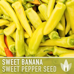 Sweet Banana Pepper Heirloom Seeds