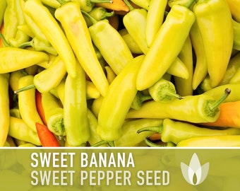 Sweet Banana Pepper Heirloom Seeds