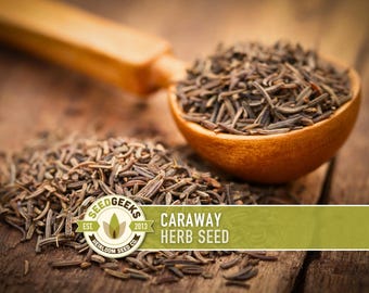Op de afbeelding: Close-up van karwijzaad in een houten lepel en verspreid op een houten oppervlak. De afbeelding bevat een logo met de tekst "Seed Geeks" en de tekst "Caraway Herb Seed". De zaden zijn bruin en de lepel is lichtbruin.