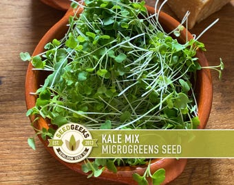 May include: A terracotta bowl filled with fresh green kale mix microgreens. The bowl sits on a wooden surface. The image includes a logo that reads "Seed Geeks" and the text "Kale Mix Microgreens Seed".