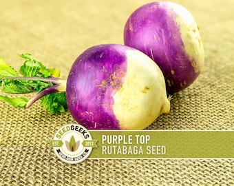 American Purple Top Rutabaga Seeds | 200+ Seeds, Heirloom, Organic, Fall Garden | Brassica napus