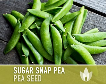 Sugar Snap Pea Heirloom Seeds