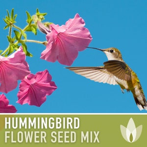 Hummingbird Garden Flower Mix Flower Seeds, Heirloom, Native, Flower Seeds