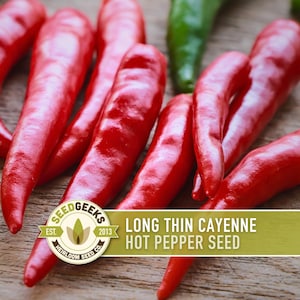 Cayenne Pepper Seeds - Long Thin Red Hot Peppers, Non-GMO image 1