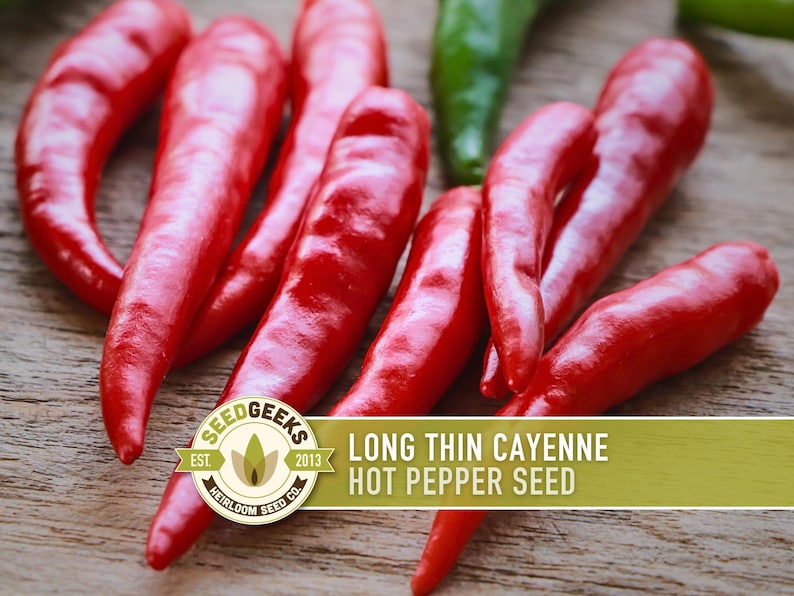 Cayenne Pepper Seeds - Long Thin Red Hot Peppers, Non-GMO image 1