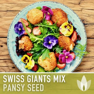 Swiss Giants Pansy Seeds, Heirloom Edible Flowers, 100 Seeds image 11