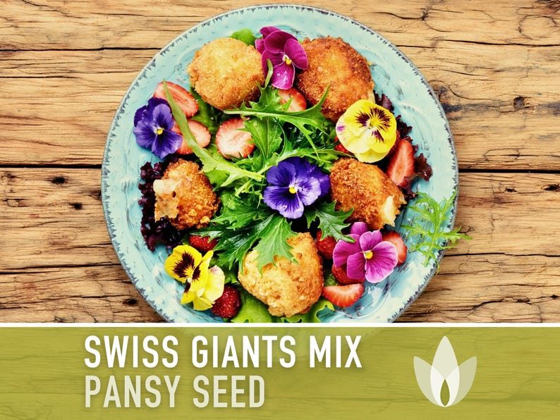 Swiss Giants Pansy Seeds, Heirloom Edible Flowers, 100 Seeds image 11