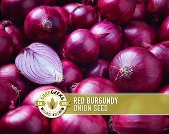 Red Burgundy Onion Seeds - Sweet, Short Day, Non-GMO