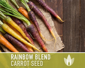 Rainbow Carrot Heirloom Seeds - Atomic Red, Bambino Orange, Cosmic Purple, Lunar White, Solar Yellow, Rainbow Blend, Non-GMO