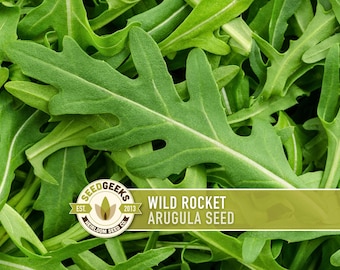 Wild Rocket Arugula Seeds – Non-GMO Heirloom, Container Garden