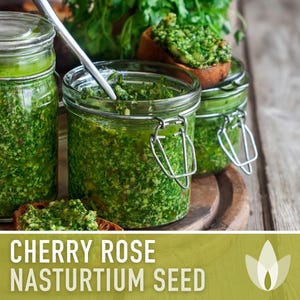 Nasturtium, Cherry Rose Flower Seeds - 25 Heirloom Seeds, Organic, Edible, Salad Garden image 12
