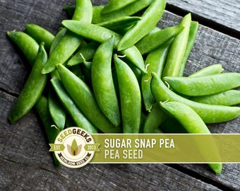 Sugar Snap Pea Heirloom Seeds