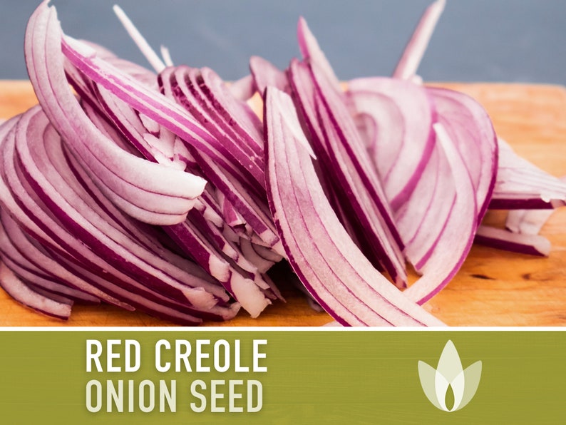 Red Creole Onion Heirloom Seeds Short Day, Open Pollinated, Non-GMO image 1