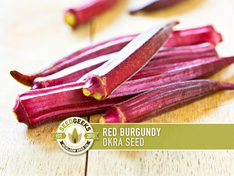 Red Burgundy Okra Heirloom Seeds