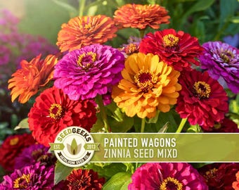 Rainbow Zinnia Flower Seed Mix | 100+ Seeds, Heirloom, Bright Colors, Butterfly Garden, Zinnia elegans