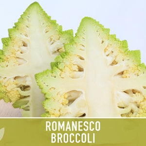 Romanesco Broccoli Heirloom Seeds afbeelding 6