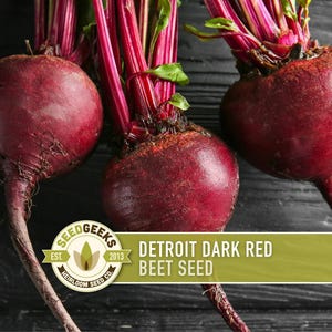 May include: Three dark red beets with vibrant green and red stems are displayed on a dark wooden surface. The image includes a logo that reads "Seed Geeks" and the text "Detroit Dark Red Beet Seed".