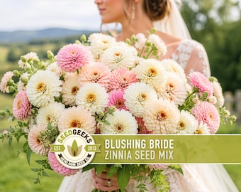 Blushing Bride Zinnia Mix |  100+ Seeds, Heirloom Wedding Flower, Bouquets, Pink & White, Zinnia elegans